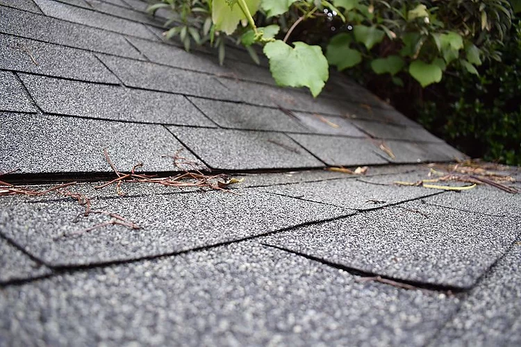 shingle-roof-leak-roofing-repair-assured