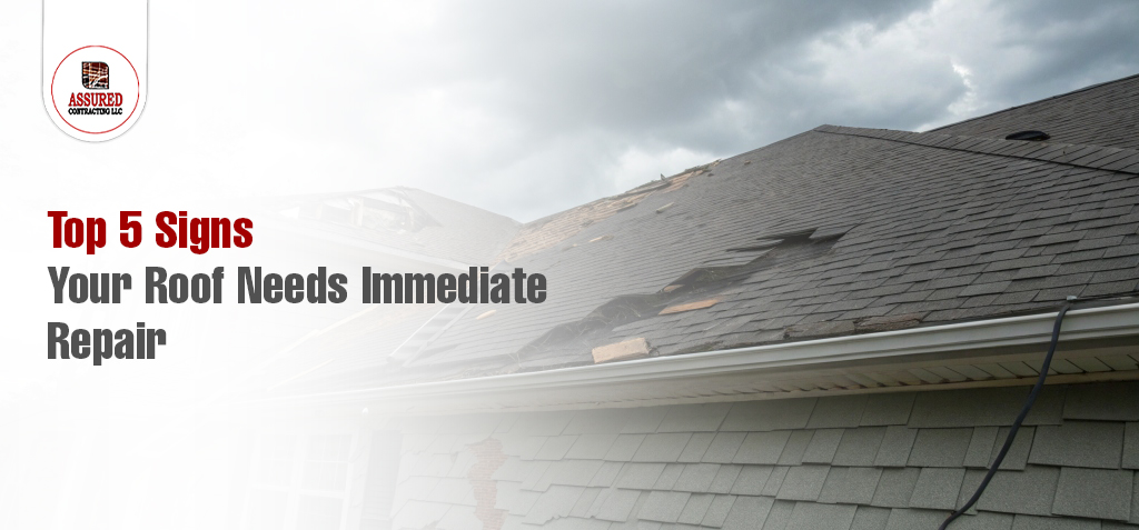 Top 5 Signs Your Roof Needs Immediate Repair