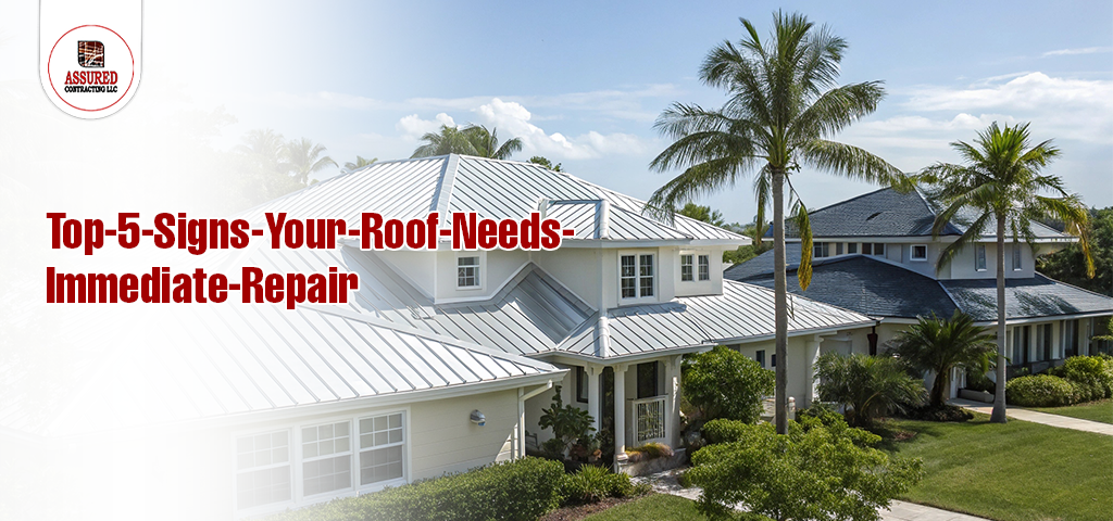 Hurricane-Proof Upgrades for South Florida Homes